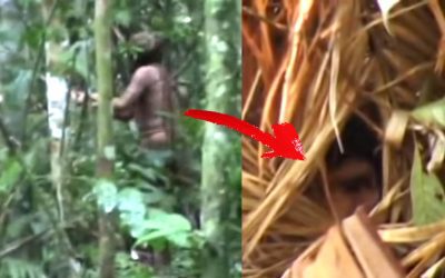 Muere el último miembro de una tribu amazónica aislada. Murió solo, su pueblo fue “aniquilado”