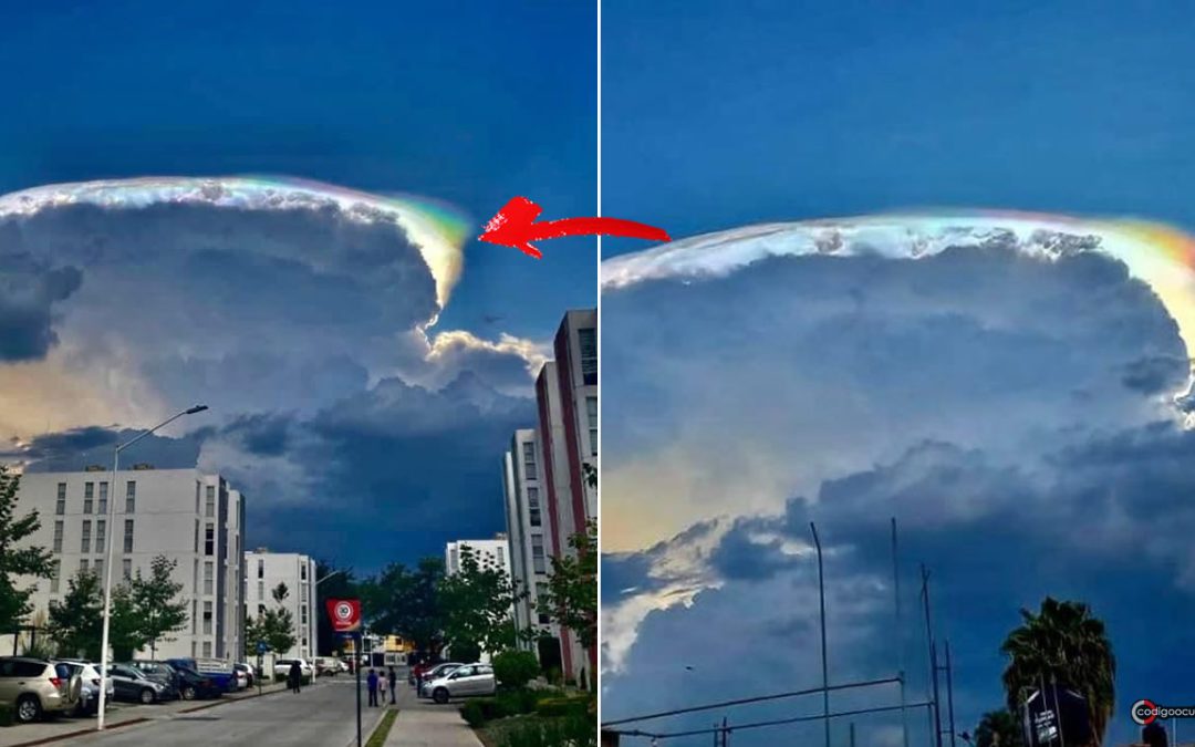 “Nube iridiscente” es reportada en cielo de Guadalajara, sorprendiendo a residentes