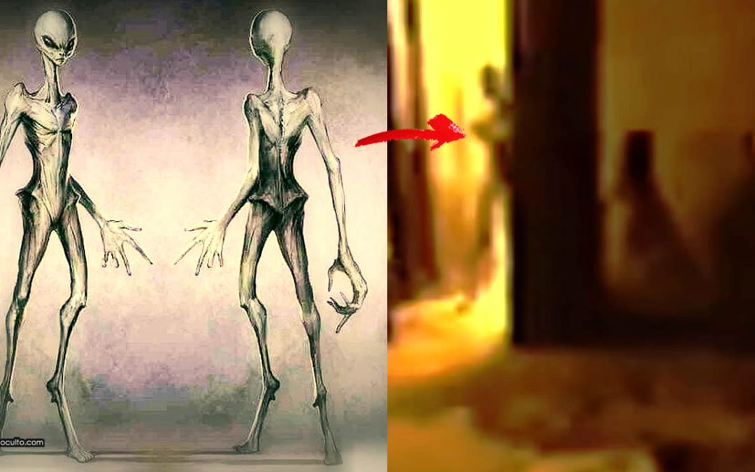 Vídeo de History Channel muestra a supuesto “extraterrestre” entrando en la habitación de una persona