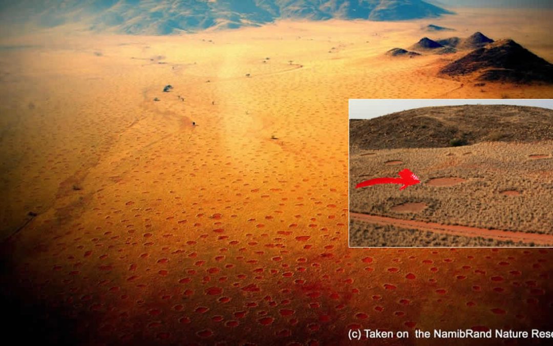 Misteriosos círculos que aparecen en desierto africano dejan intrigados a lugareños