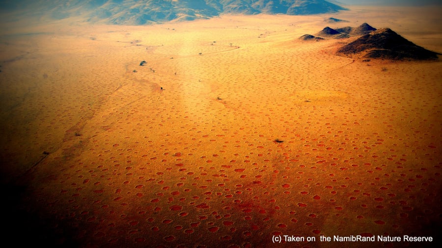 Extraños puntos estériles, bordeados de pastos altos, salpican un tramo de 1.770 km del desierto de Namibia