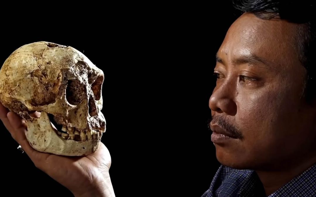 Cráneo de 6.000 años hallado en Taiwán confirma leyenda de “humanoides de estatura pequeña”