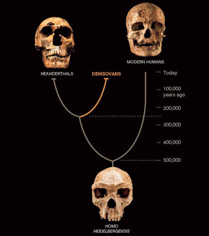 Un tipo de homínidos, llamados denisovanos, puede haber coexistido en Asia con los neandertales y los primeros humanos modernos