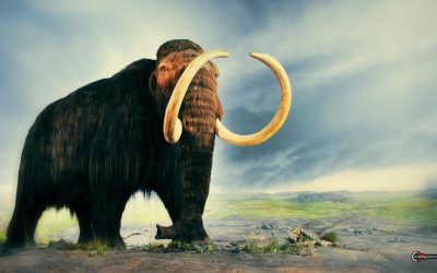 CIA está financiando a una compañía para “traer a la vida” al mamut lanudo