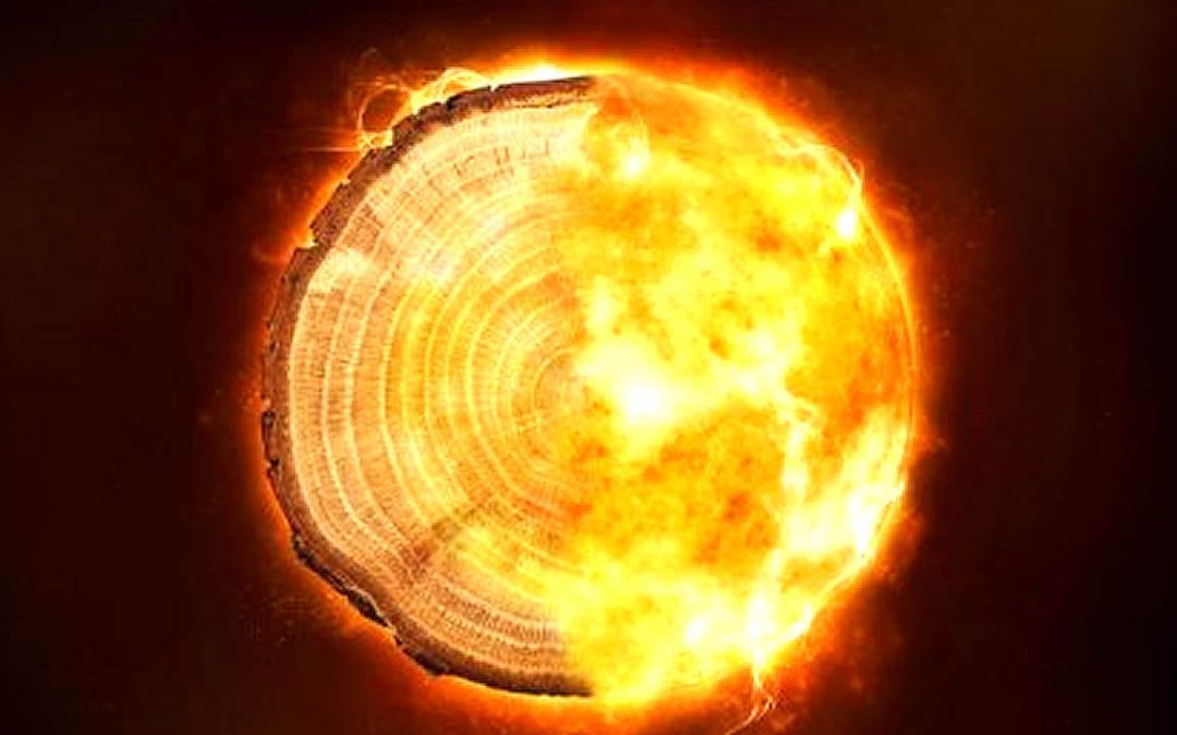 Una misteriosa “tormenta cósmica” golpea la Tierra cada mil años, revelan anillos de árboles