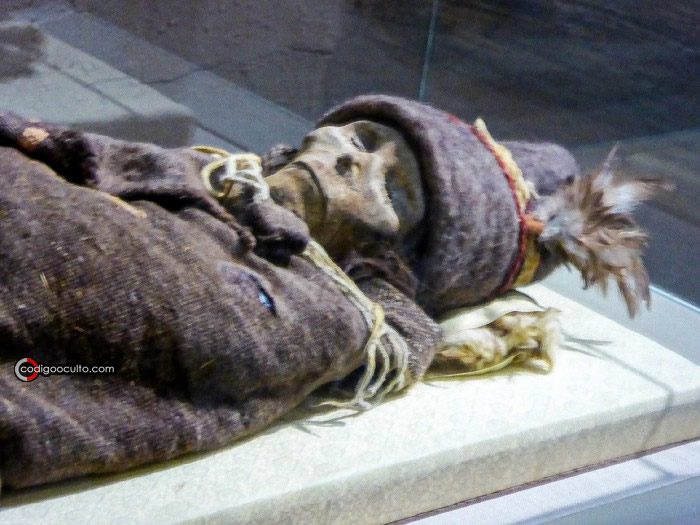 La "Momia Xiaohe", exhibida en el Museo de Xinjiang, es una de las momias más antiguas de Tarim, con una antigüedad de más de 3.800 años