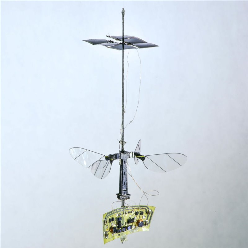 El nuevo RoboBee esta alimentado por seis células fotovoltáicas colocadas a 3 centímetros por encima de las alas para evitar interferencias aerodinámicas