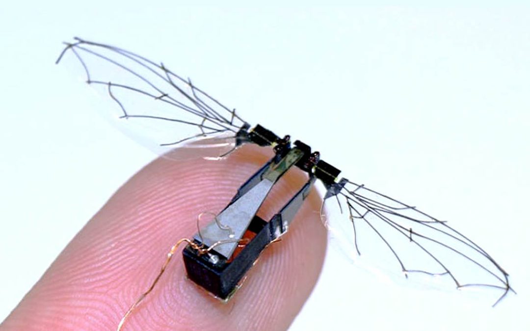RoboBee: el impresionante “insecto robot” volador