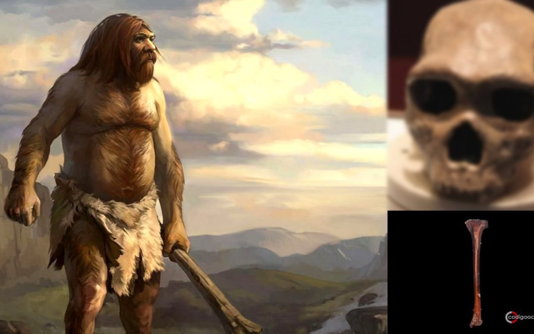 ¿Se encontró “ADN no humano” en el cuerpo del ancestro más antiguo del mundo?