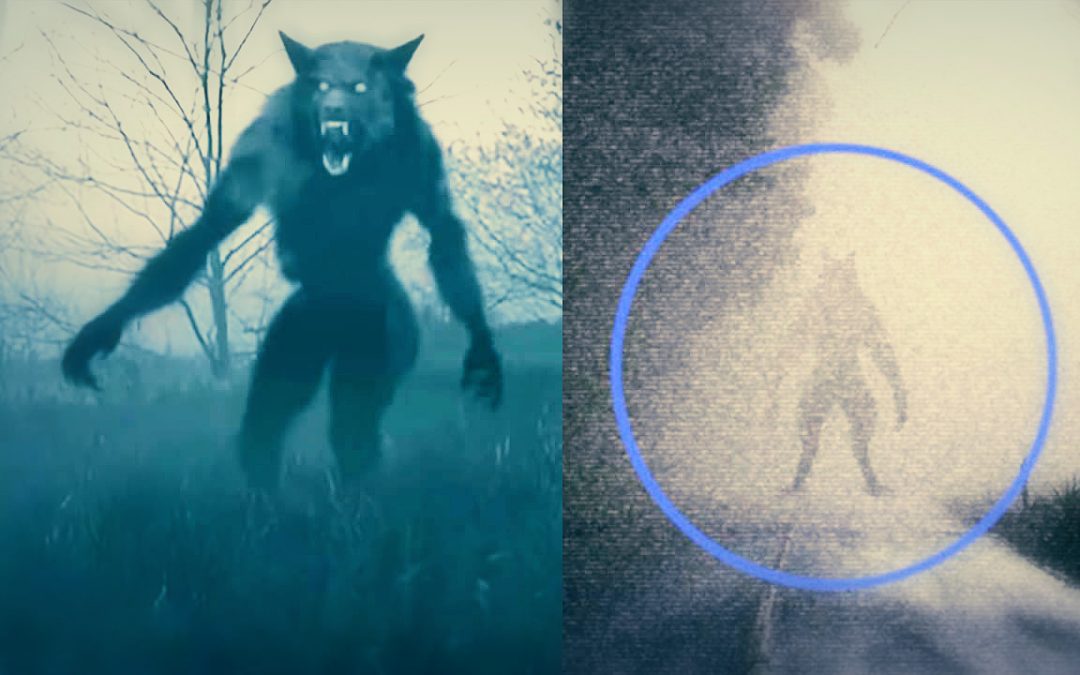 La Bestia de Bray Road: el misterio del “Hombre Lobo norteamericano”