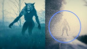 La Bestia de Bray Road: el misterio del "Hombre Lobo norteamericano"