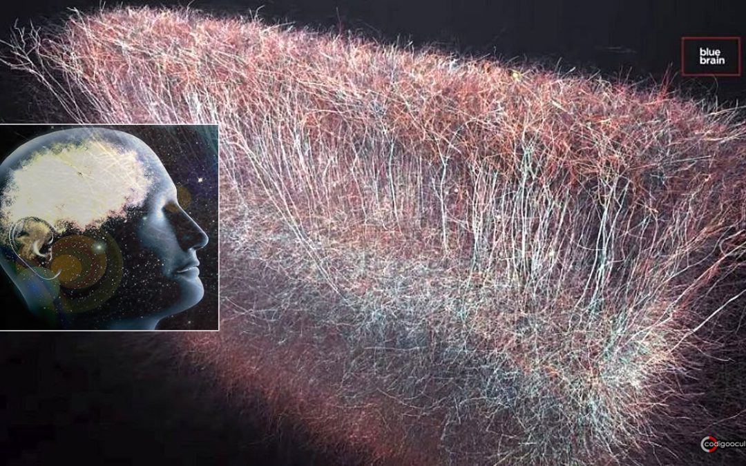 Científicos descubren un “universo multidimensional” en el interior del cerebro humano