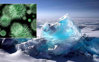 Científicos “reviven” virus de 50.000 años que estuvo congelado en Siberia