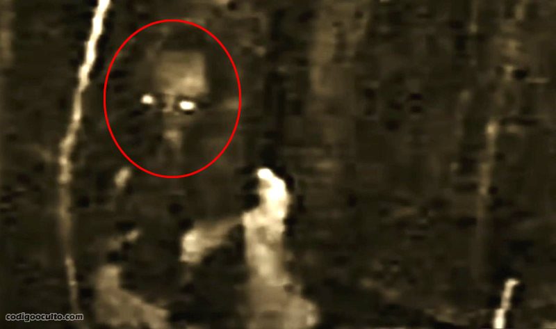 Imagen capturada del vídeo de vigilancia. Se muestra lo que parece ser la cabeza de un humanoide