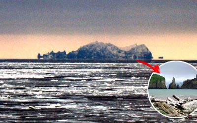 La misteriosa Isla de Alaska que los humanos “no pueden conquistar”