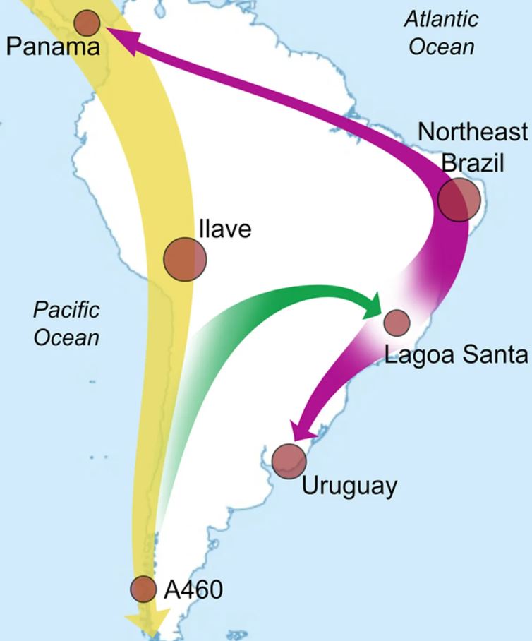 Mapa que muestra los primeros patrones de migración en América del Sur, comenzando con una ola hacia el sur a lo largo de la costa del Pacífico antes de moverse hacia el este hasta Brasil y finalmente hacia el norte y el sur hasta Panamá y Uruguay