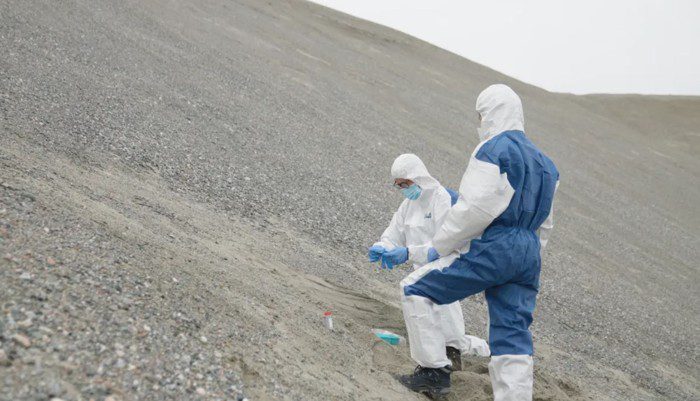 Eske willerslev y un colega toman muestras de sedimentos para adn ambiental en groenlandia