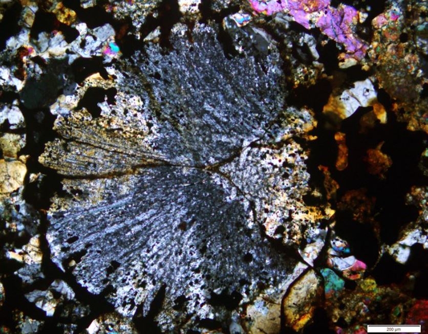 Cóndrulo de piroxeno radial formado en el meteorito de Maryborough
