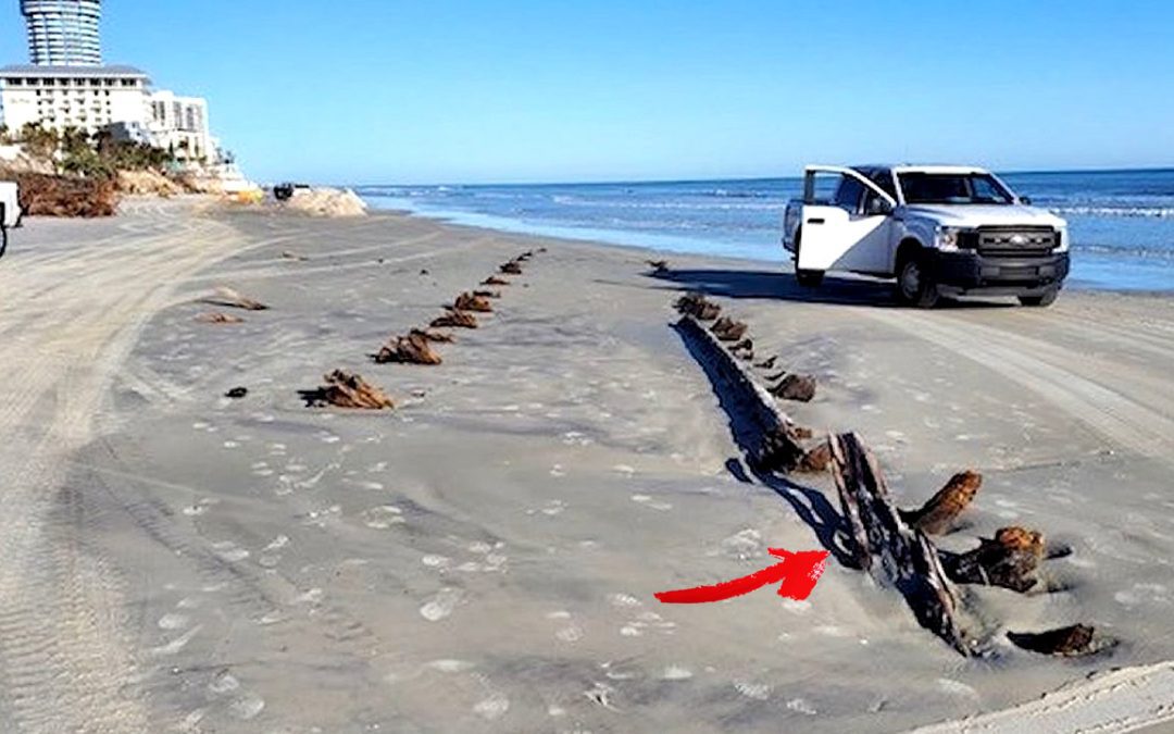 Objeto misterioso emerge en playa de Florida luego del paso de huracanes