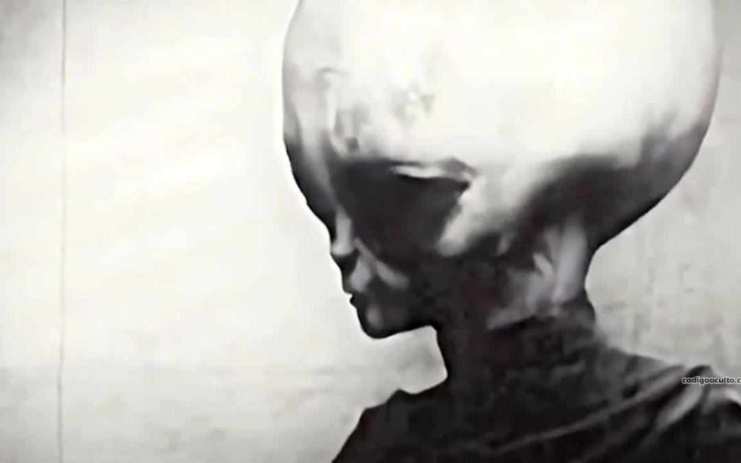 Análisis forense del vídeo “Skinny Bob” revela una “autenticidad sorprendente”