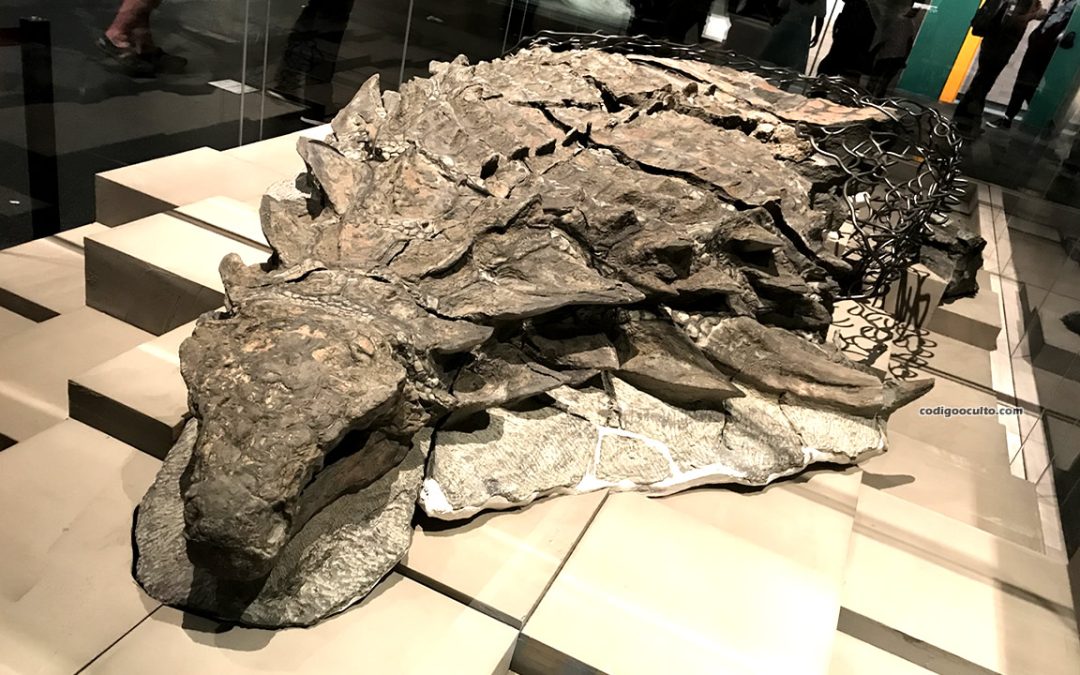Científicos hallan la “cara” completa de un dinosaurio y con piel fosilizada