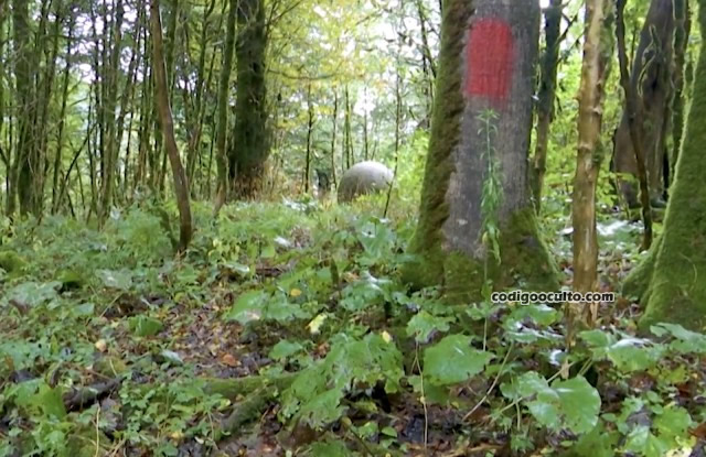 Esfera de piedra encontrada en un bosque de Rusia
