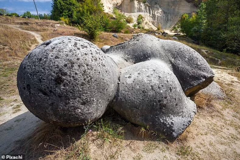Comenzando como guijarros y creciendo aproximadamente dos pulgadas por milenio, las piedras Trovants son estructuras minerales únicas que imitan la vida de las plantas y los mamíferos