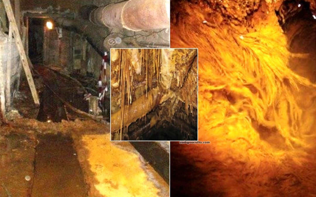 Extraño ecosistema “alienígena” encontrado en mina de uranio abandonada