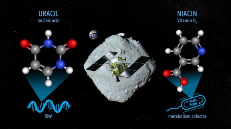 Infografía del descubrimiento de uracilo y niacina en muestras recuperadas del asteroide Ryugu