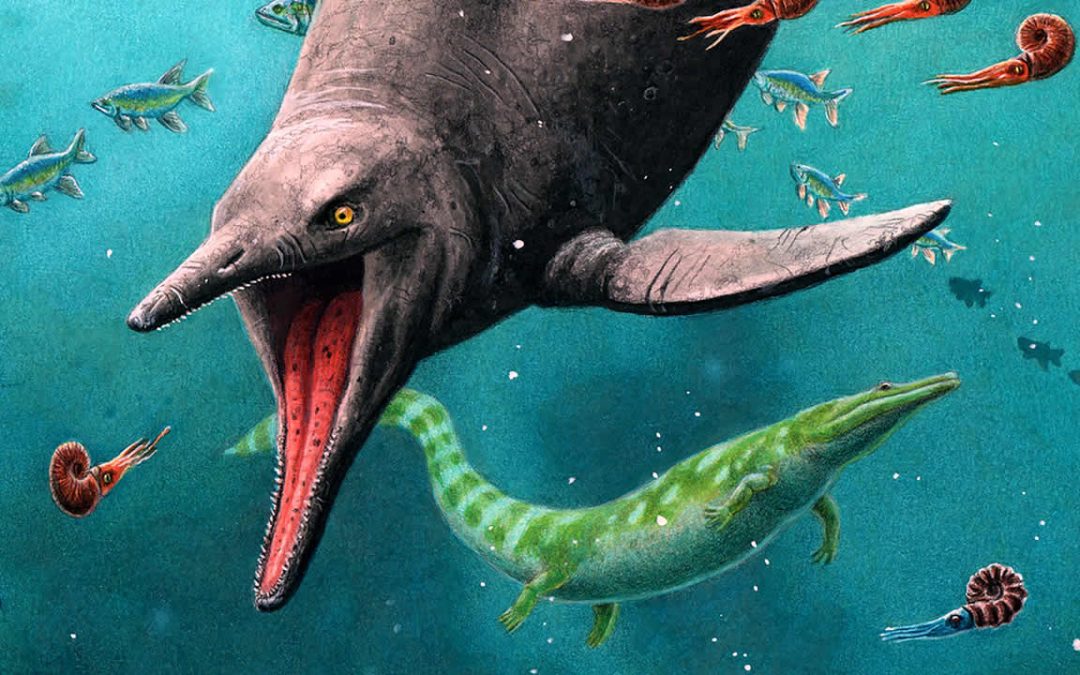 Fósiles de Ictiosaurio hallados sugieren que sobrevivieron a la “Gran Mortandad”