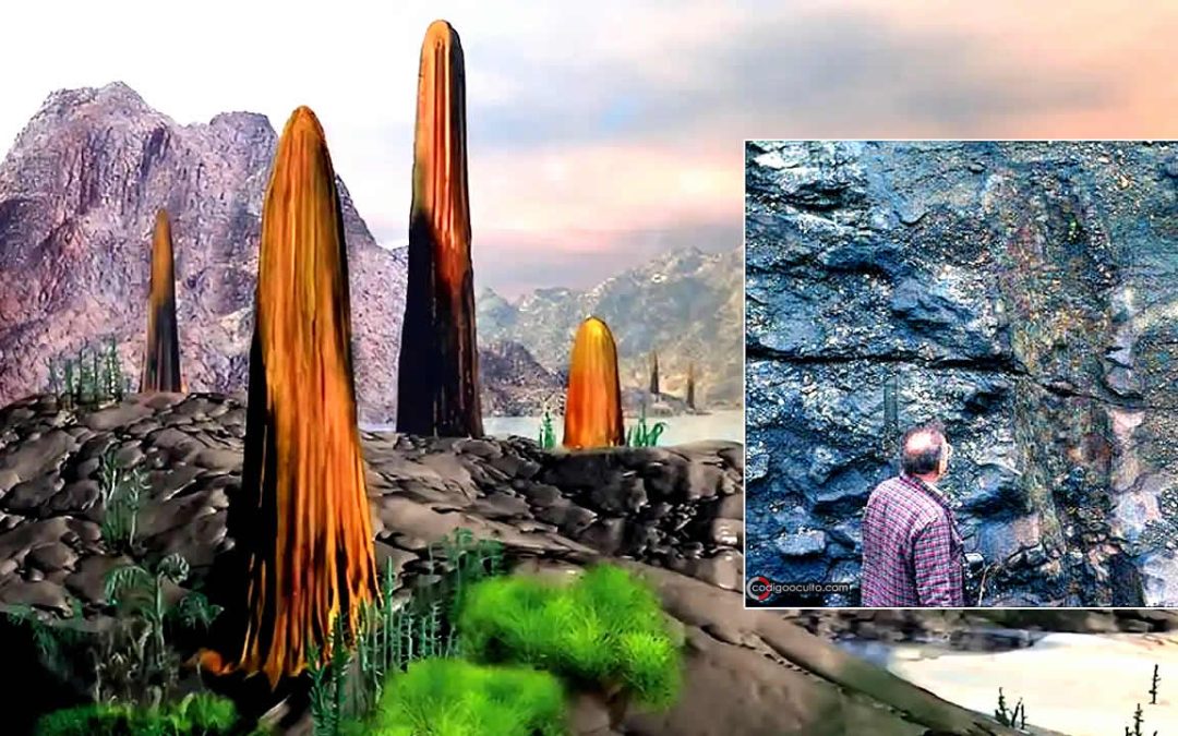 Hongos gigantes de 8 metros de altura cubrieron la Tierra antes que existan los árboles