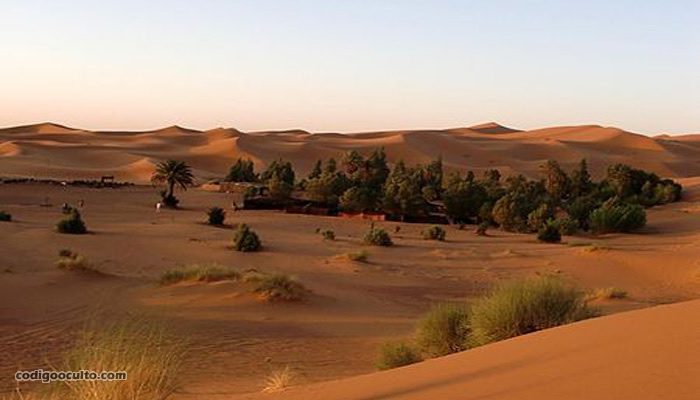 Oasis en el desierto del Sahara ocupado por una tribu marroquí