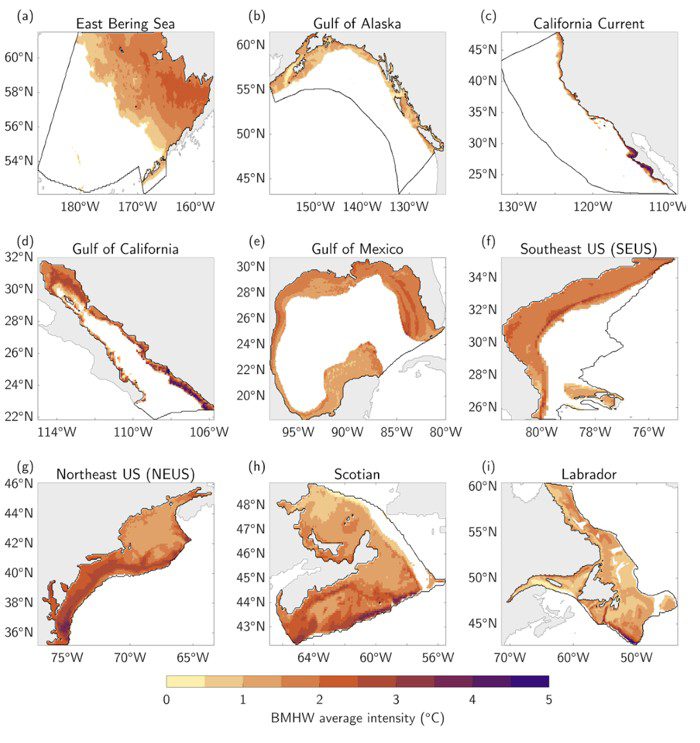 Estas ilustraciones muestran la intensidad promedio de las olas de calor de fondo (anomalías de calor) que ocurrieron entre 1993 y 2019 en cada uno de los grandes ecosistemas marinos estudiados por un equipo de científicos de la NOAA