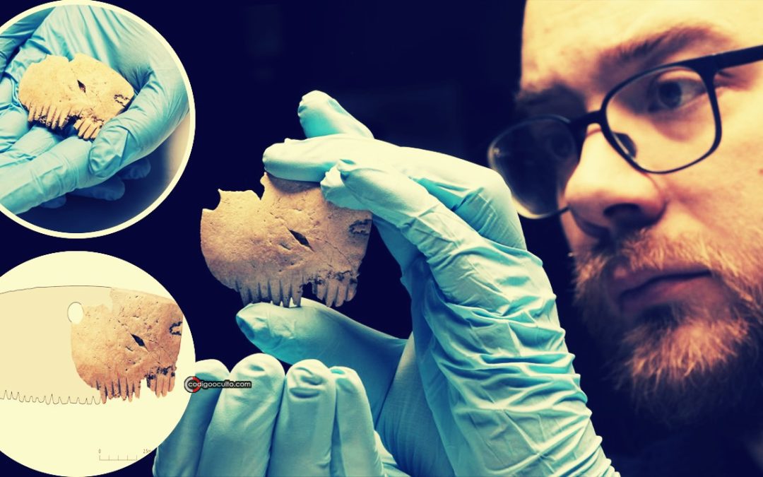 Descubierto un peine de la Edad del Hierro confeccionado con hueso de cráneo humano