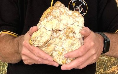 Buscador de oro aficionado encuentra una enorme “pepita” en Australia