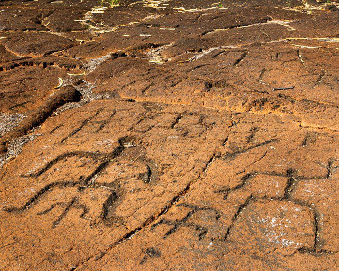 Otra fotografía de petroglifos en Hawaii