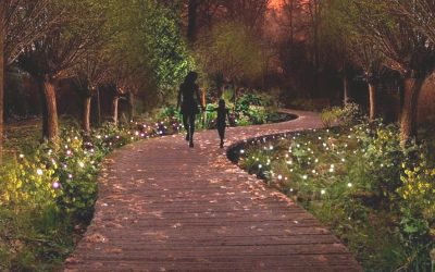 The Park of Tomorrow: primer parque del mundo iluminado por la energía de las plantas