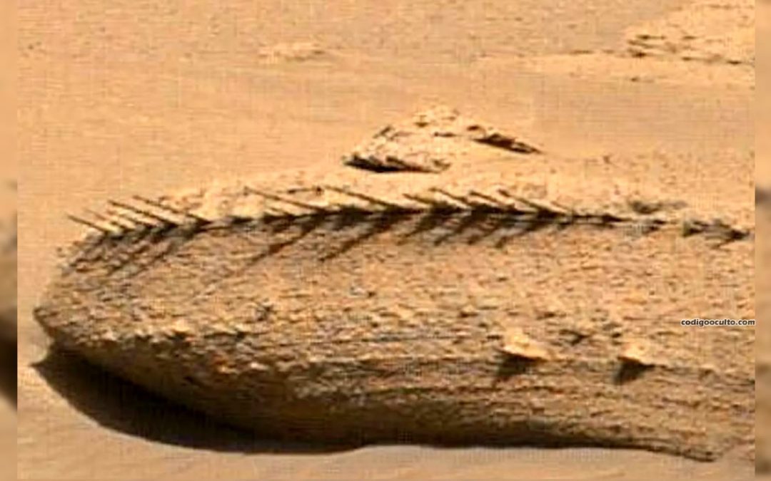Otra interesante “anomalía” es hallada en Marte