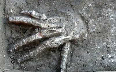 Fosa de manos cortadas podrían ser los restos de una “espeluznante” ceremonia del antiguo Egipto