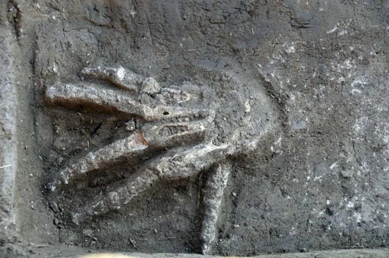 Fosa de manos cortadas podrían ser los restos de una "espeluznante" ceremonia del antiguo Egipto