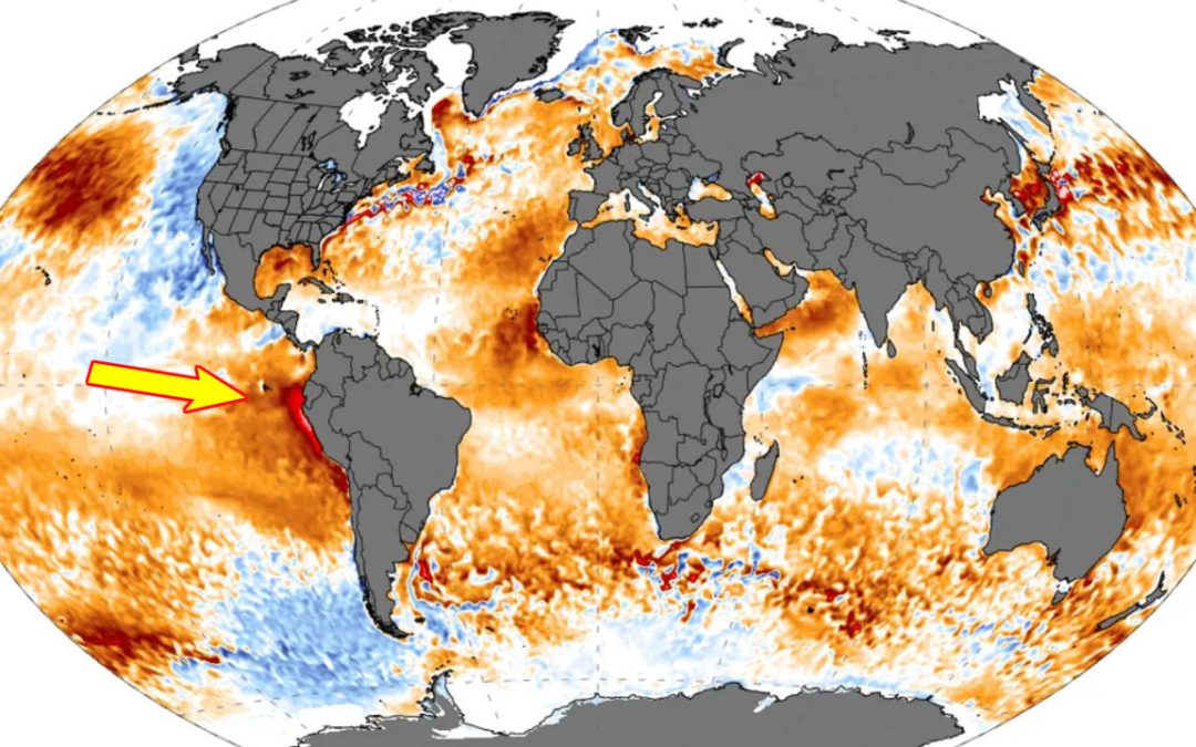 Océanos alcanzaron temperaturas nunca observadas desde que se tiene registro