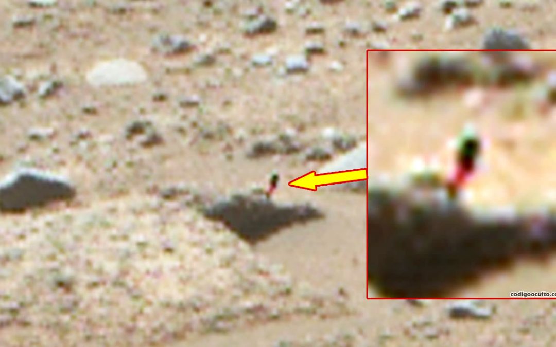 ¿Se ha fotografiado una “planta” creciendo en una roca en Marte?
