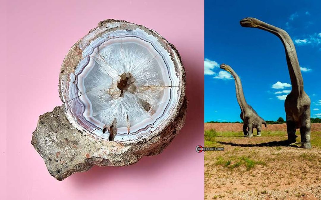 Roca hallada con una impresionante ágata resulta ser un huevo de dinosaurio de 60 millones de años