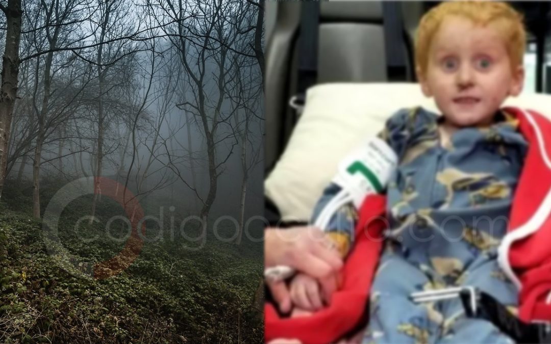 Ryker Webb: el niño de tres años que “vivió un infierno” tras perderse dos días en un bosque