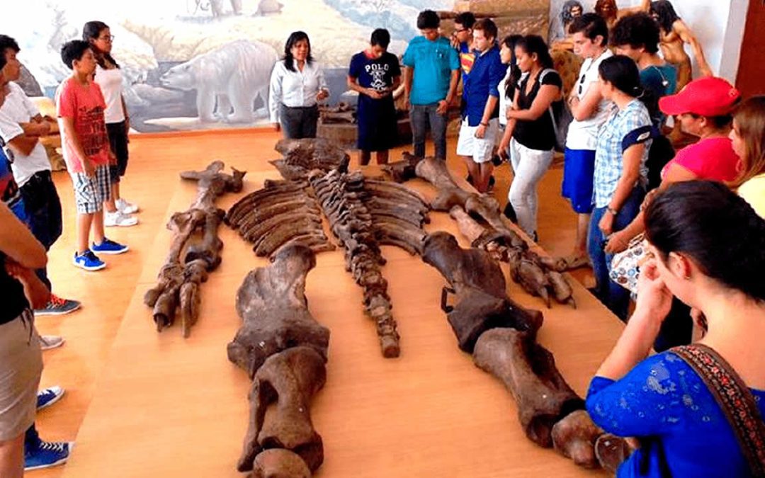 ¿Cuál es la verdad sobre los huesos de “gigantes” de 7 metros hallados en Ecuador?