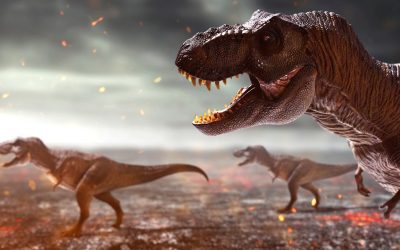 1.700 millones de Tiranosaurios Rex caminaron por la Tierra antes de extinguirse, sugiere estudio