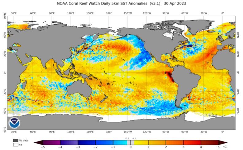 Gráfico de anomalías de la temperatura de la superficie del mar