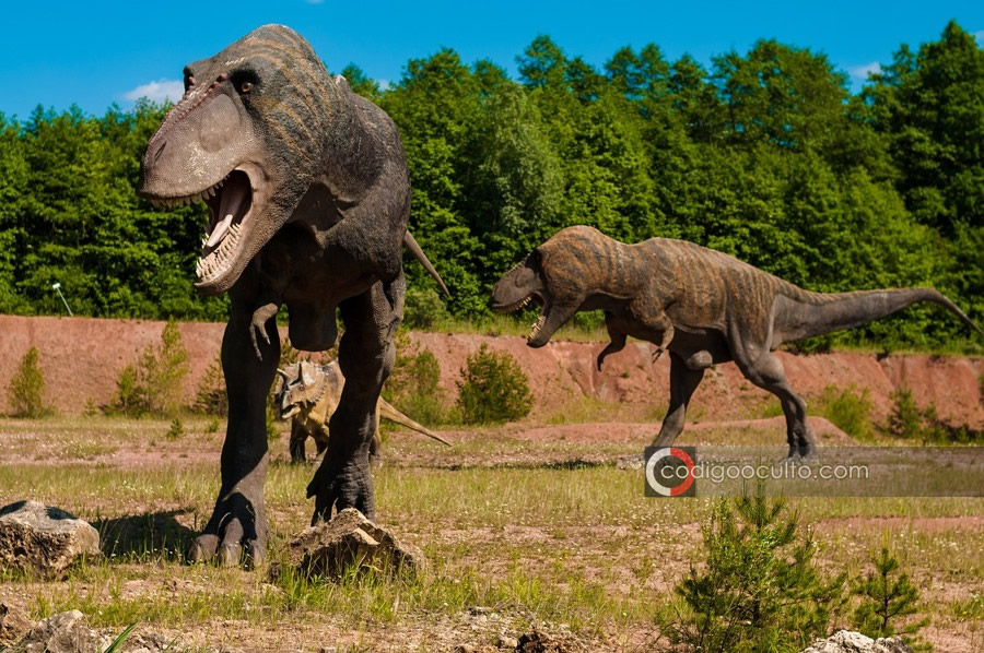 Dos Tiranosaurios Rex