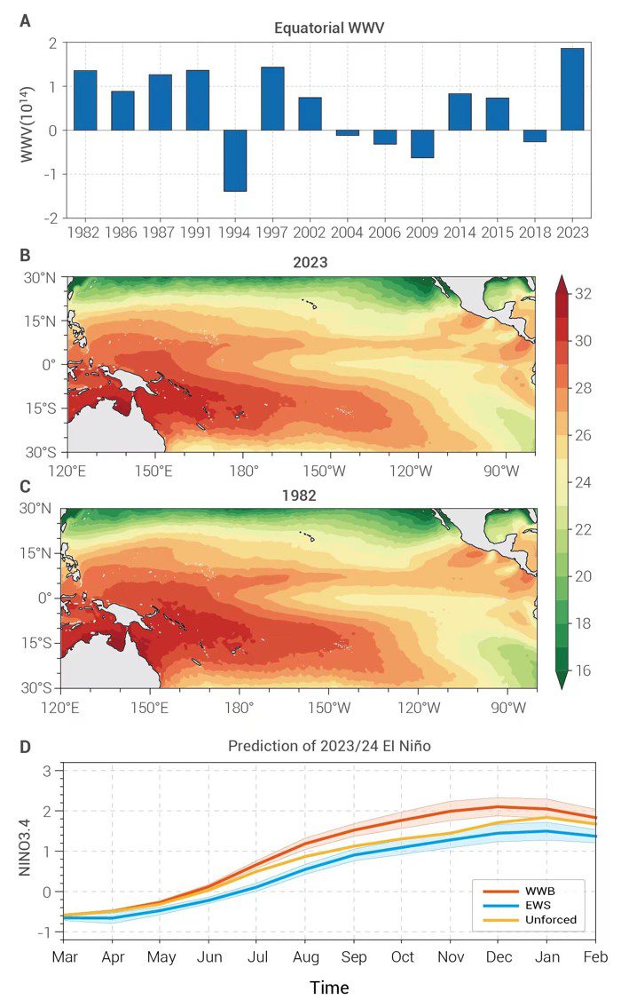 Estado actual y predicciones de El Niño 2023/24 (A) junto a datos de El Niño desde 1982