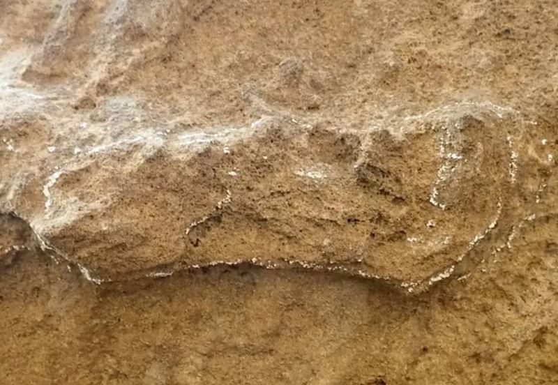 La huella más antigua conocida de nuestra especie, ligeramente anillada con tiza. Parece larga y estrecha porque el rastreador arrastró el talón